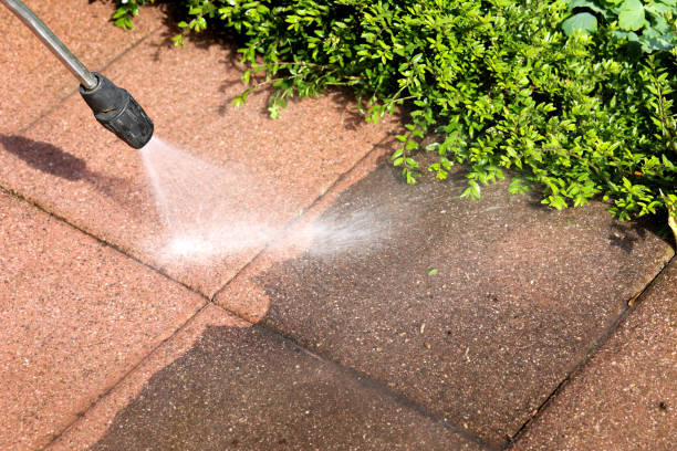 Best Local Pressure Washing Services  in Havelock, NC